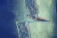 /album/scraping/r001-023-jpg/