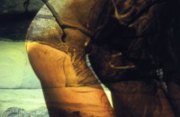 /album/metamorfose/vrouw022-jpg/