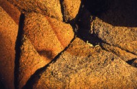 /album/metamorfose/vrouw027-jpg/