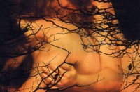 /album/metamorfose/vrouw028-jpg/