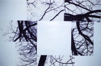 /album/collage/file1486-jpg/