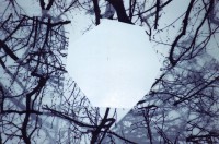 /album/collage/file1487-jpg/