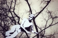 /album/collage/file1488-jpg/