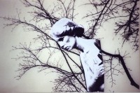 /album/collage/file1491-jpg/