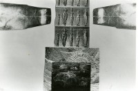 /album/collage/file1494-jpg/