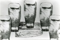 /album/collage/file1495-jpg/