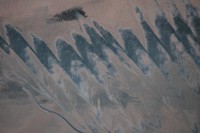 /album/scraping/dsc-0220-jpg/