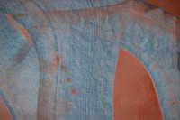 /album/scraping/dsc-0223-jpg/